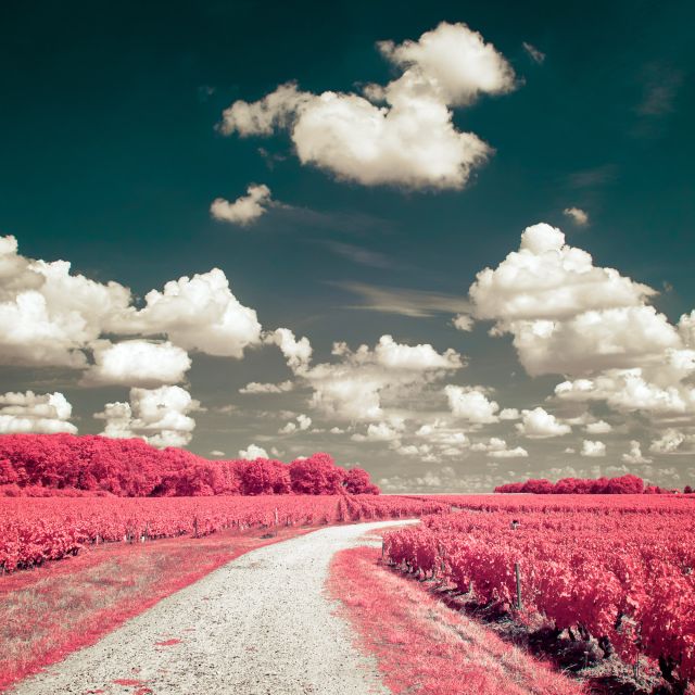 Défiltrage et refiltrage d'un APN avec filtre infrarouge 642BP Astronomik Modifications 4'IR