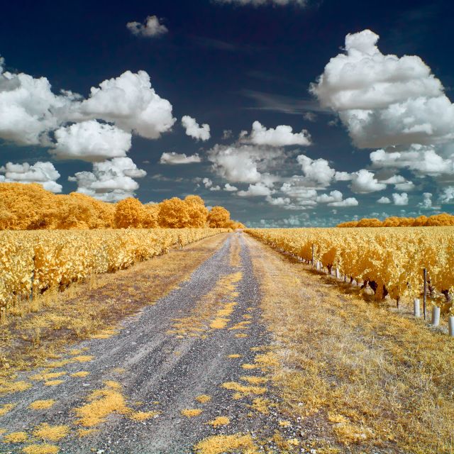 Défiltrage et refiltrage d'un APN avec filtre infrarouge 642BP Astronomik Modifications 4'IR