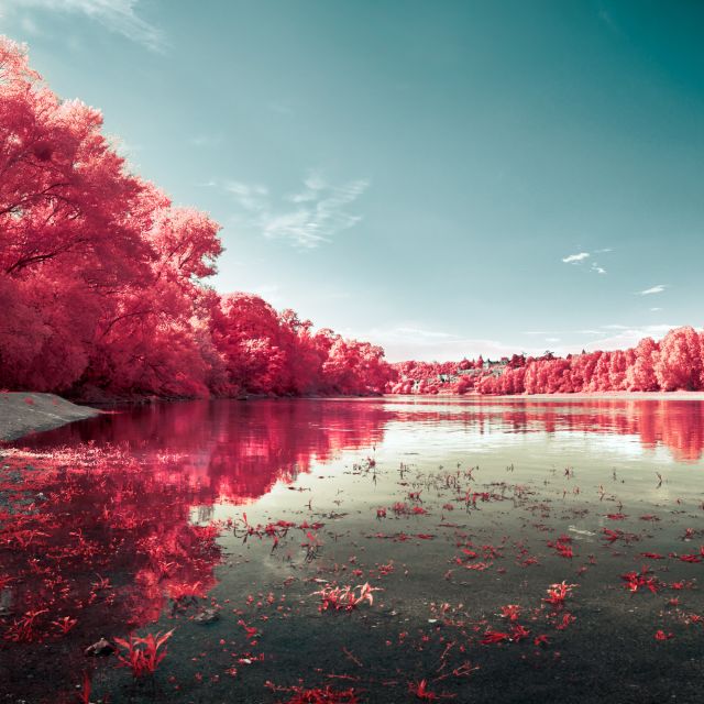 Défiltrage et refiltrage d'un APN avec filtre infrarouge 642BP Astronomik Modifications 4'IR